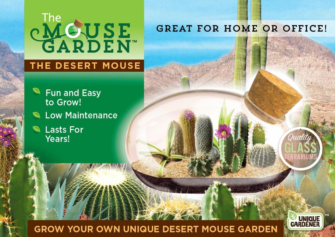 Clay, Dough & Sand Art | Toys R Us Desert Mouse Cacti Terrarium Kit Arts & Crafts Clay, Dough & Sand Art