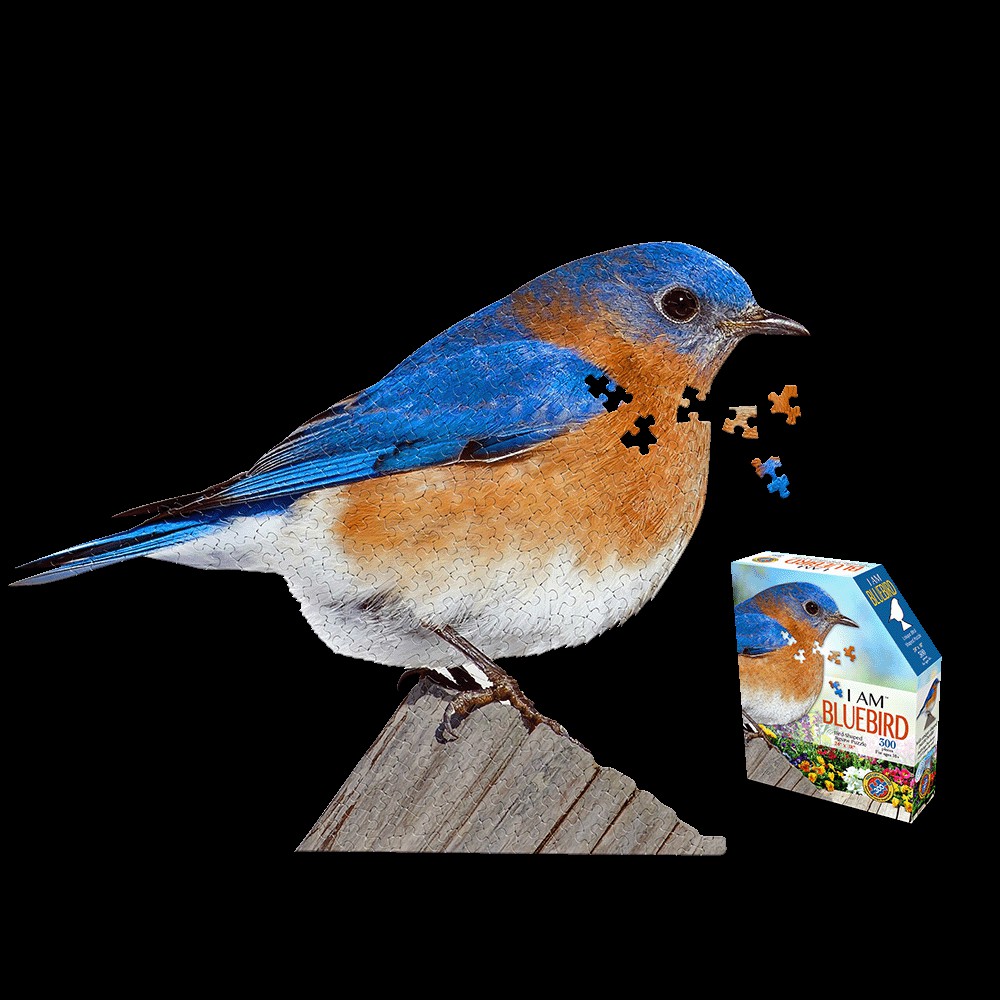 Puzzles | Madd Capp I Am Bluebird Jigsaw Puzzle – 300 Pc Games & Puzzles Puzzles