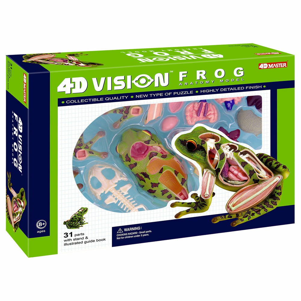 Science & Discovery | 4D Master Frog Anatomy Model Educational Science Kit Learning & Development Science & Discovery