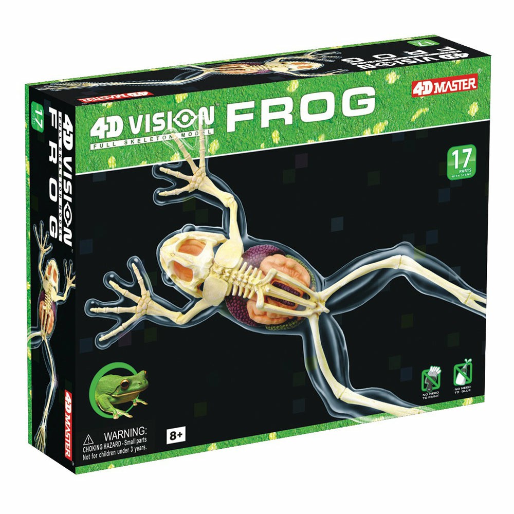 Science & Discovery | 4D Master Full Skeleton Frog Model Anatomy Kit Learning & Development Science & Discovery