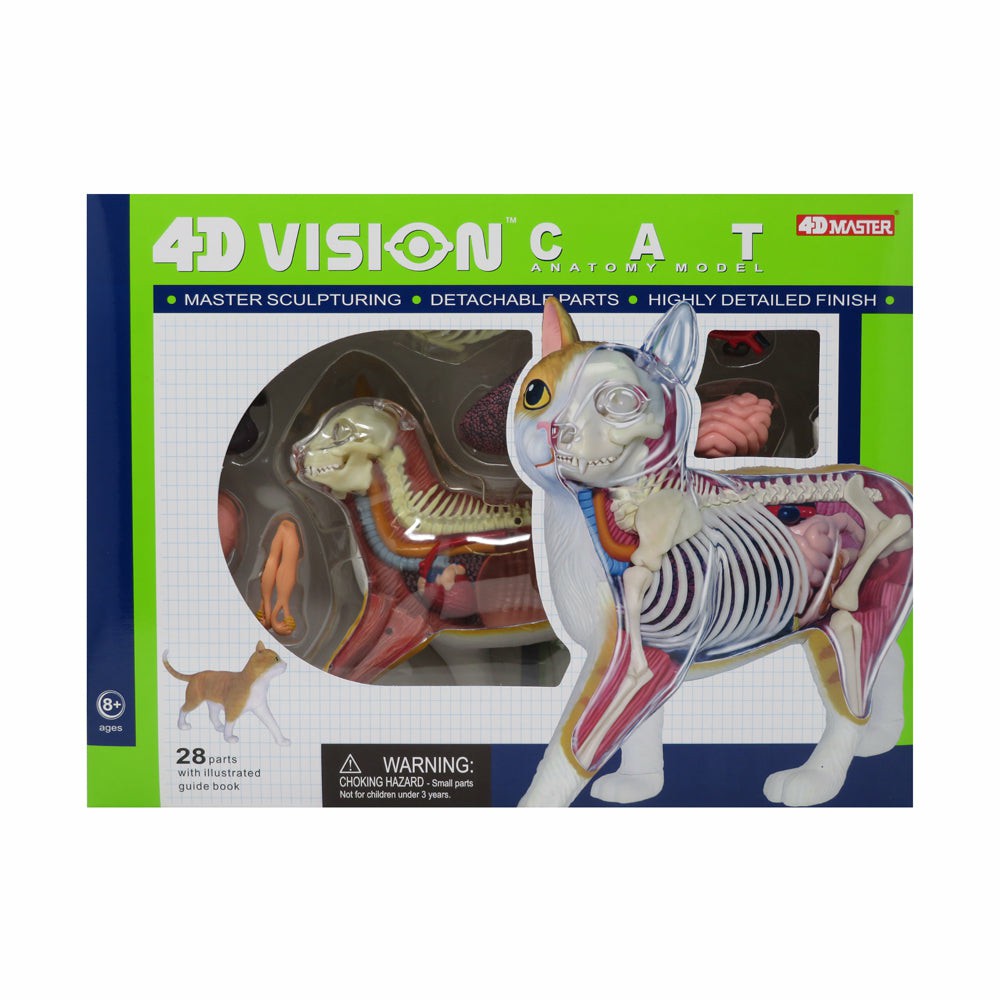 Science & Discovery | Be Good Company – 4D Vision Orange Cat Anatomy Model – Educational Toy Learning & Development Science & Discovery