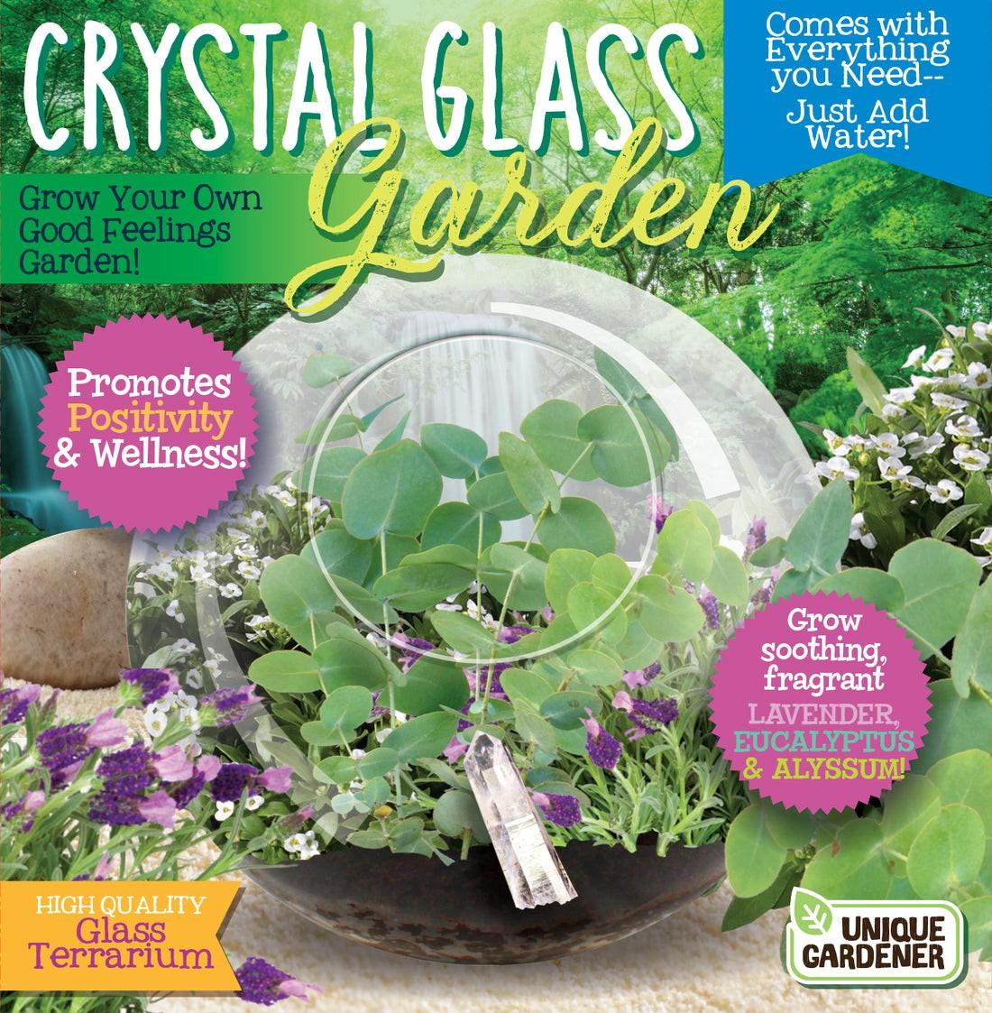 Science & Discovery | Crystal Glass Garden Terrarium Kit With Quartz And Seeds Learning & Development Science & Discovery