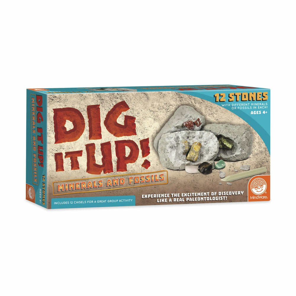 Science & Discovery | Mindware Dig It Up! Minerals And Fossils Excavation Kit Learning & Development Science & Discovery