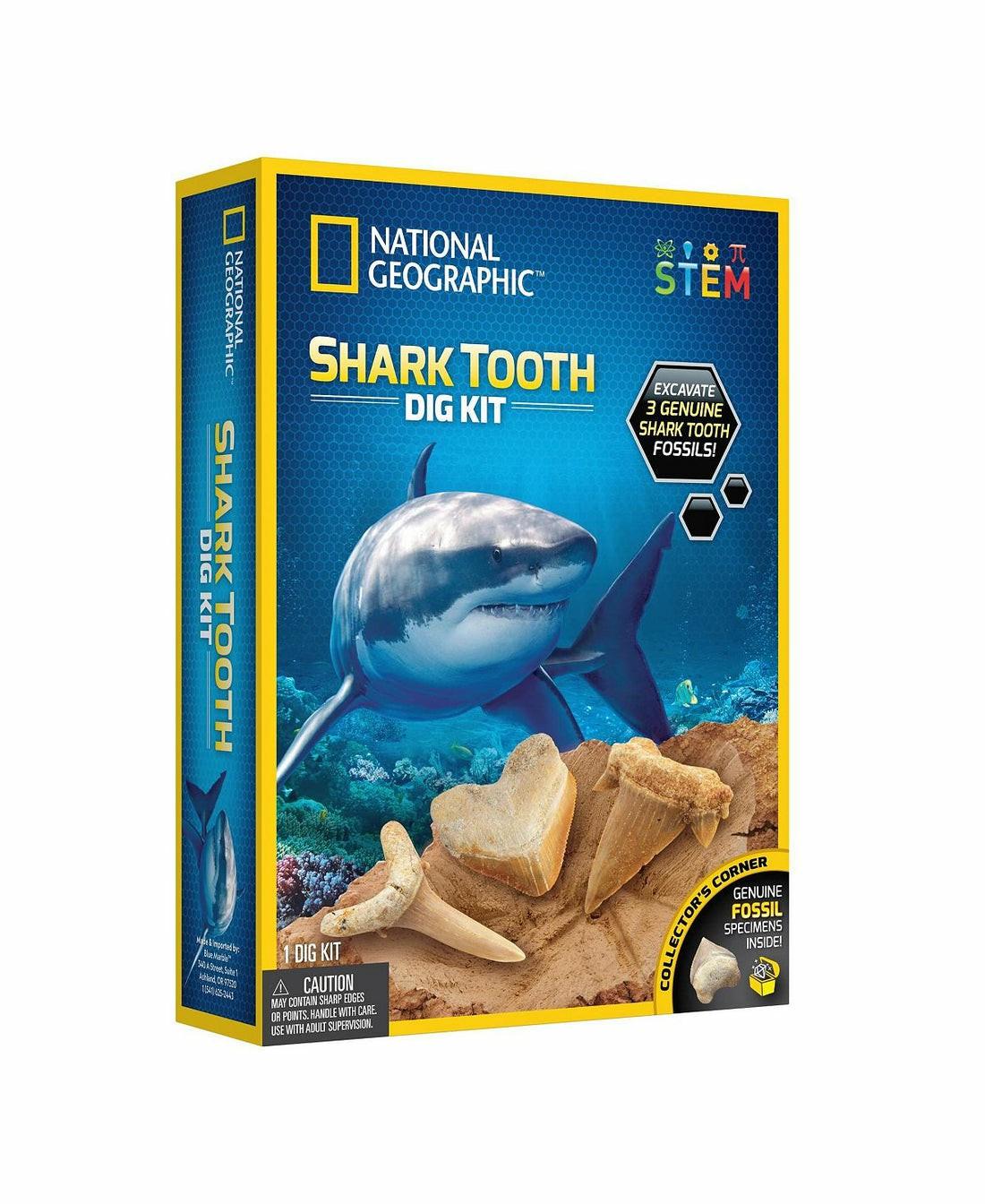 Science & Discovery | National Geographic Shark Tooth Excavation Kit ‚Äì Discover Real Fossils Learning & Development Science & Discovery