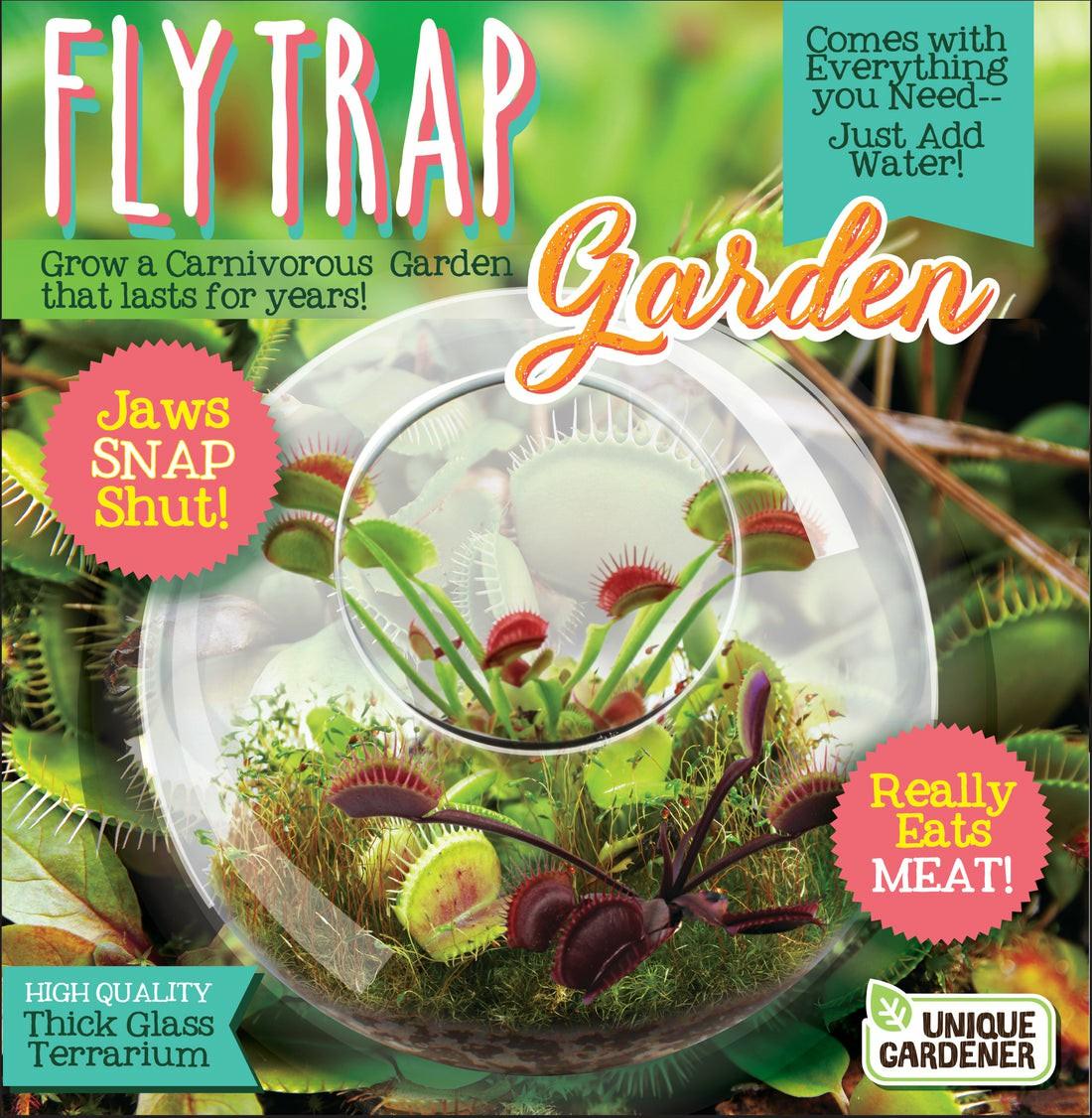 Science & Discovery | Unique Gardener Carnivorous Fly Trap Glass Terrarium Kit Learning & Development Science & Discovery