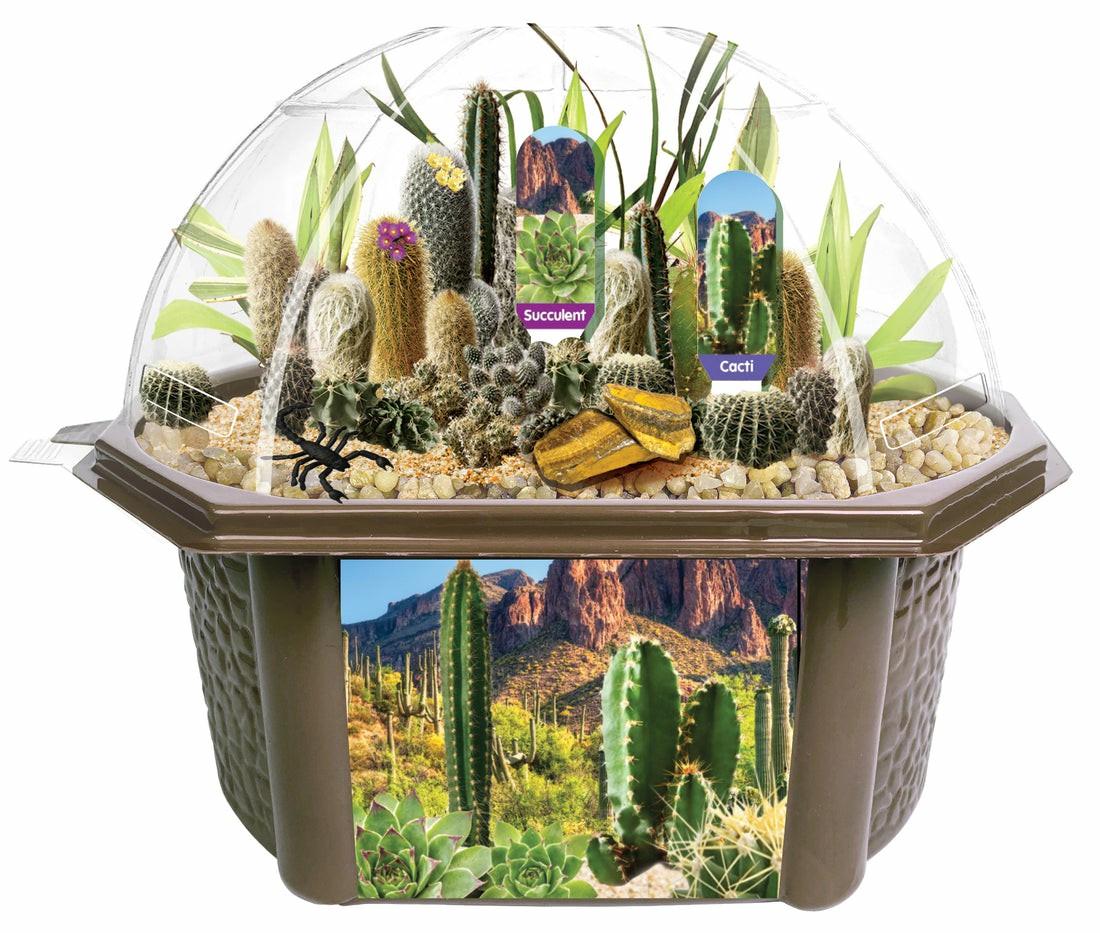 Science Toys | Toys By Nature Desert Biosphere Terrarium Kit – Complete Cacti & Succulent Grow Set S.T.E.A.M Toys Science Toys